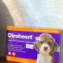 약국에서 구입 가능한 강아지 심장사상충약 하트세이버, 하트웜, 다이로하트 가격비교