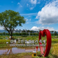 김해 조만강 청보리 축제 추억의 허수아비 황금빛으로 물든 청보리밭