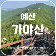 충남5산 예산 가야산 최단코스 한국방송공사원효봉중계소 들머리