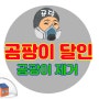 신축 아파트 곰팡이 제거 재발 없는 해결 방법