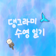 [수영일기] #16. 수린이 자유수영 루틴으로 써먹기 좋은 강습 루틴!