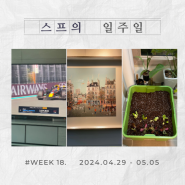 이번 주까지만 놀아야지✨ :: WEEK 18