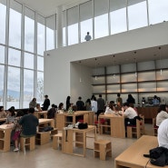 [Gangneung, 강릉] 솔올 아트 뮤지엄 Sorol Art Museum