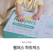 팸퍼스 기저귀 샘플 4단계 아기백일 임신축하선물 하트박스