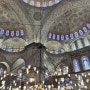 [사진] 이스탄불 둘째날 ⑦ 술탄 아흐멧 모스크(블루 모스크) 내부