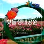 경남 합천 핫들생태공원 작약꽃 실시간 개화현황 위치 주차 5월꽃명소