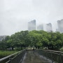 비오는 서울숲 산책