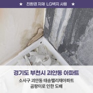 부천 괴안동 태송팰리체 아파트 곰팡이로 인한 곰팡이 방지 도배