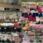 고속버스터미널 화훼상가 방문후기 카네이션 셀프 화병만들기(꽃가격, 가는 방법, 꿀팁)