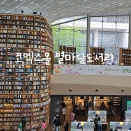 코엑스별마당도서관위치 포토존 서울 실내 가볼만한 곳