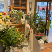 [수원 카페] 임브레이스, Flower Cafe Embrace: 꽃이 있는 아늑한 영통 이색 카페