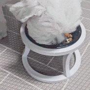 까사미코 강아지밥그릇 : 실용적이고 고급스런 강아지 고양이 도자기 밥그릇