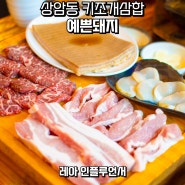 상암동 점심 맛집 고기집 찐 키조개 삼합