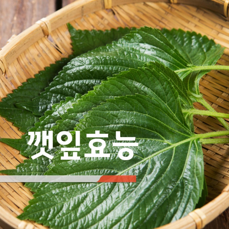 깻잎 효능 7가지 영양성분 칼로리 : 네이버 블로그