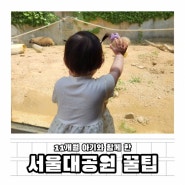 11개월 아기랑 서울대공원 동물원 꿀팁 수유실 리프트 코끼리열차 준비물