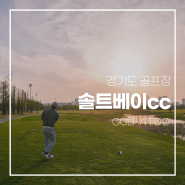 경기도 골프장 솔트베이cc 야간 라운딩 드라이빙레인지