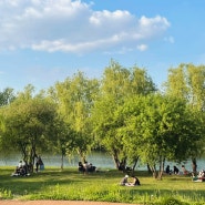일상 블로그 :: 양화 한강 공원 피크닉 이제야 가보다니!