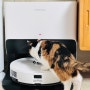 로보락 S8 pro ultra 고양이집 필수템이 된 로봇청소기