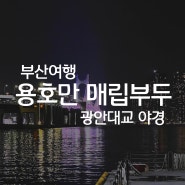용호만 매립부두 야경 부산 광안대교 최고의뷰 영업시간 주차정보