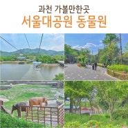 서울대공원 리프트 타고 동물원 나들이 (패키지 가격, 할인, 발레파킹)