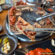 춘천 닭갈비 맛집 토담숯불닭갈비 (주차) | 삼색닭갈비와 토담닭강정 즐기기