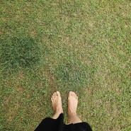 <모닝루틴#798> <걷기#12> 잔디밭 맨발걷기 어싱
