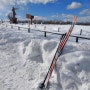홋카이도 겨울 눈축제 스노우파크 ㅣ 삿포로 히츠지가오카전망대 3탄