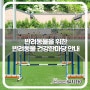 5월 애견동반 가볼만한 장소 대전반려동물공원 문화축제 건강한마당 행사 및 이벤트 정보