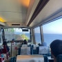 일본 이즈여행 이나토리 애니멀킹덤 동물원& 쿠로부네 관광열차