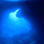 사이판 여행 필수 코스 그로토,쫄보의 그로토 체험 후기 Saipan Grotto 🤿