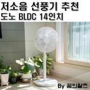 저소음 선풍기 추천, 도노 BLDC 무소음 14인치 리뷰