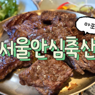[마포역 맛집] 서울안심축산 마포용강점ㅣ제대로된 한우로 FLEX하고 온 후기!!