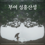 서울 근교 데이트코스 부여 가볼만한곳 가림성 성흥산성 사랑나무 비오는 날 방문후기 주차