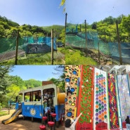 경기도 아이와 가볼만한 곳 국내 최대 놀자숲 테마파크 할인 주차 꿀팁 요약