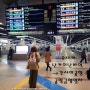 오사카 난카이 난바역에서 간사이공항 급행 열차 타는곳 시간표