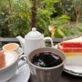 [양주] 오랑주리카페🍀, 녹읍이 우거진 정원 분위기의 예쁜 카페: 플라워가든 티, 바스크치즈케이크, 레인보우케이크🫖🍰🌈