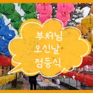 [영상기자단] 부처님 오신날 연등점등식_김리안+류광우