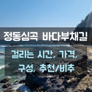 강릉 정동진 가볼만한곳 정동심곡 바다부채길 해안산책로