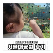 11개월 아기랑 서울대공원 후기 동물원 동선 추천