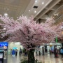 부산공항(김해공항)에서 김포공항 R2B