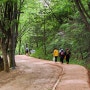 대전 계족산 황톳길 - 맨발걷기의 성지