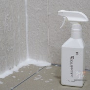 N쇼핑 후기수 1위 살림백서 벽지 곰팡이 제거 락스없이 벽지 속까지 완벽하게 곰팡이 제거 셀프 싱크대곰팡이 화장실실리콘곰팡이