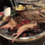 천안 양고기 ‘화로담’ - 잡채 맛있는 곳, '야시장포차' - 고갈비집
