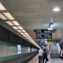 대만 아리산 가는 방법, 타오위안 공항에서 자이역 THRS 고속철도-버스까지 총 소요시간은?