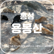 충남5산 홍성 용봉산 등산코스 용봉산자연휴양림 최단코스