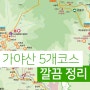 가야산 등산코스 만물산 남산제일봉 상세지도 정상 실시간 라이브 CCTV