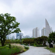 비 오는 날 부천 중앙공원 --