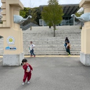 일본 후쿠오카 26개월 아기랑 가기 좋은 동물원