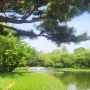 푸르른서울숲,서울숲분수대,성수동핫플