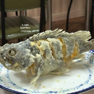 청주 봉명동 맛집 큰바다활어 생우럭튀김+도다리세꼬시 후기